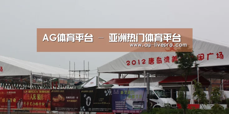 案例标题十(图1)