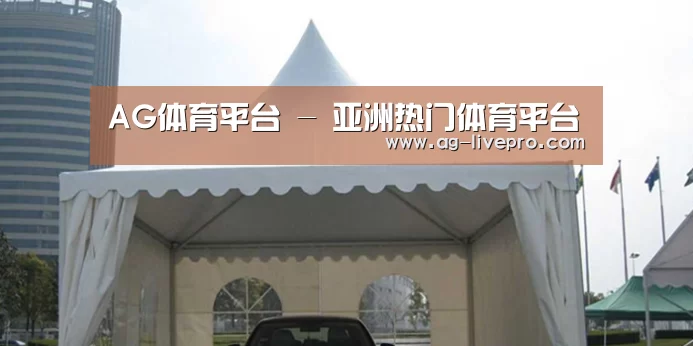 案例标题八