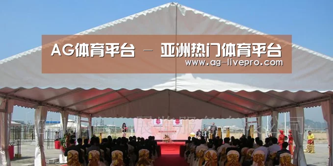 案例标题三(图1)