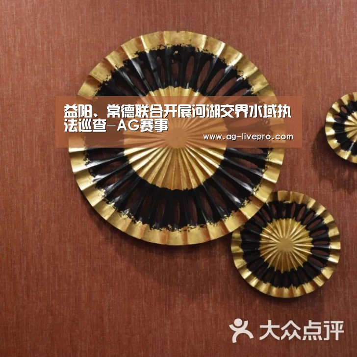 益阳、常德联合开展河湖交界水域执法巡查-AG赛事(图3) AG赛事