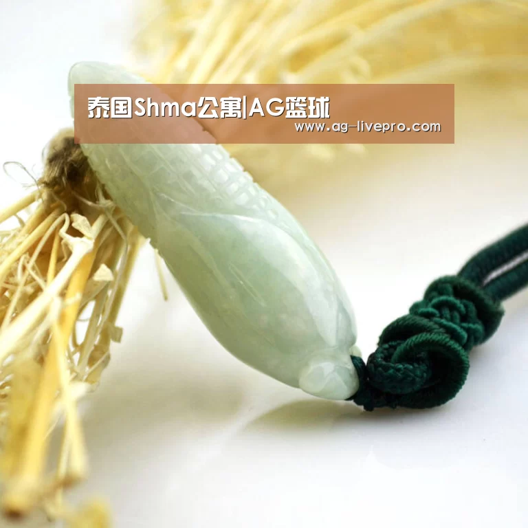 泰国Shma公寓|AG篮球(图1) AG赛事