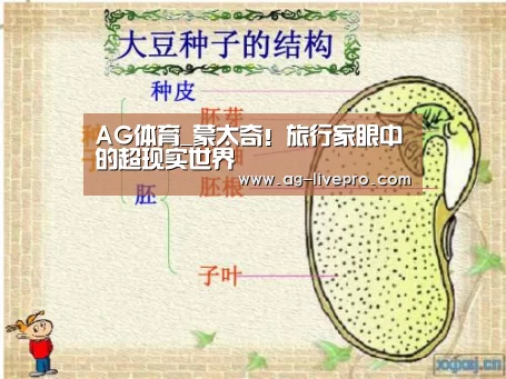 AG体育_蒙太奇!旅行家眼中的超现实世界(图2) AG足球