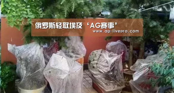 俄罗斯轻取埃及‘AG赛事’(图4) AG足球