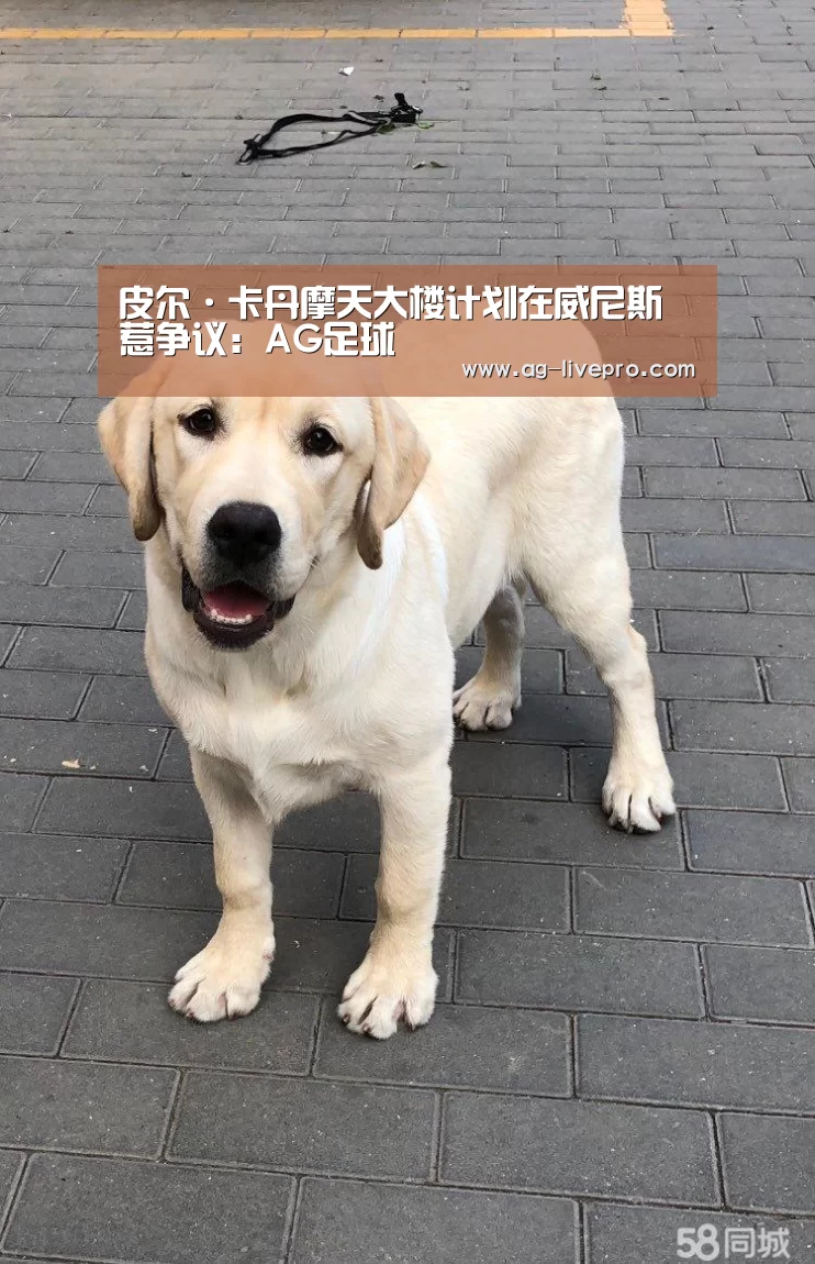 皮尔·卡丹摩天大楼计划在威尼斯惹争议:AG足球(图2) AG赛事