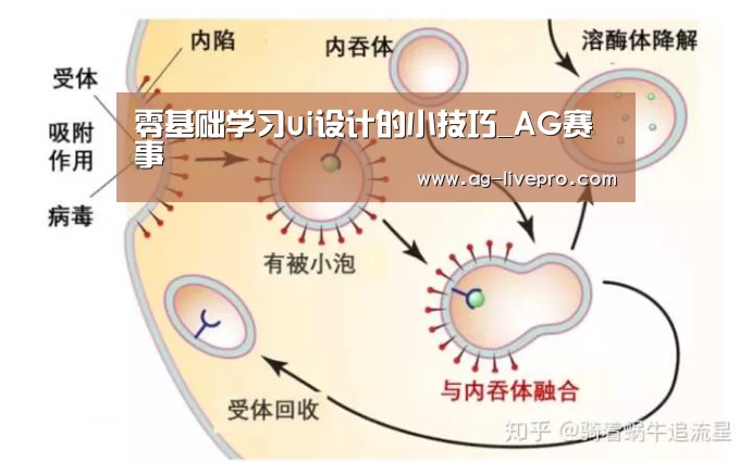 零基础学习ui设计的小技巧_AG赛事(图3) AG足球